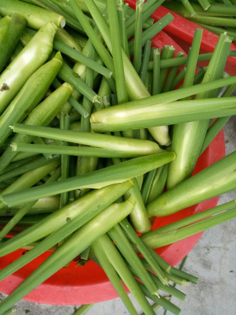 茭白带壳