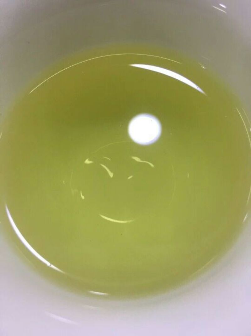 铁观音茶农产地直发250g/盒2盒共500g包邮