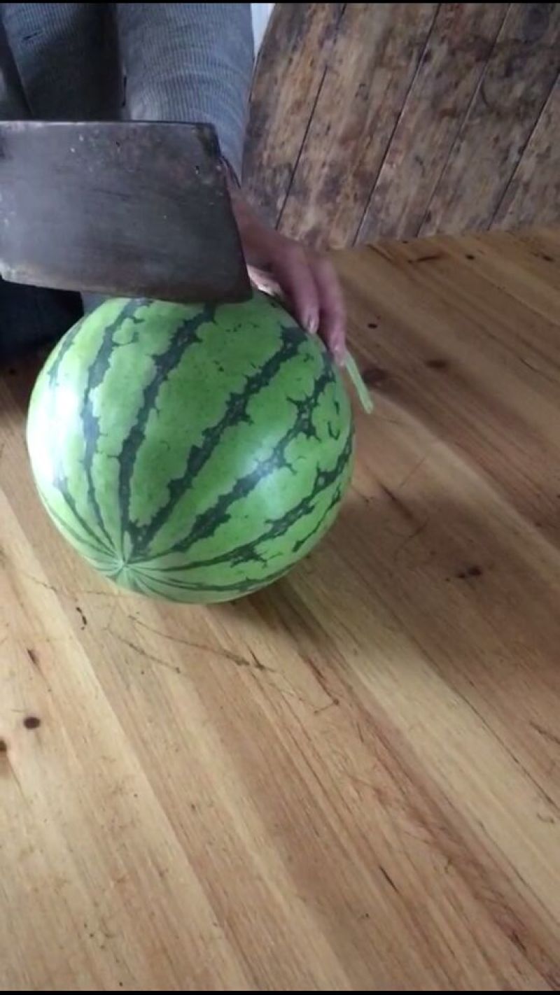 8424西瓜5斤打底9成熟1茬