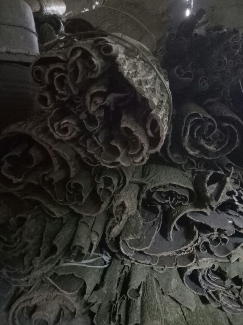 杜仲皮干卷皮