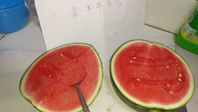 8424西瓜6斤打底8成熟1茬