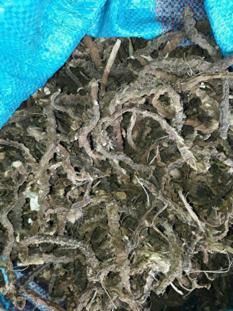石菖蒲中选条