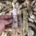 干虾皮皮虾干