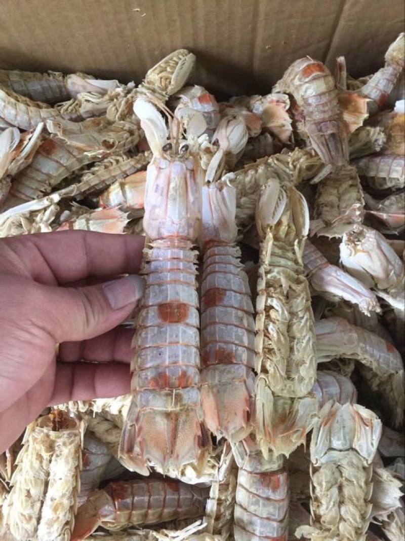 干虾皮皮虾干