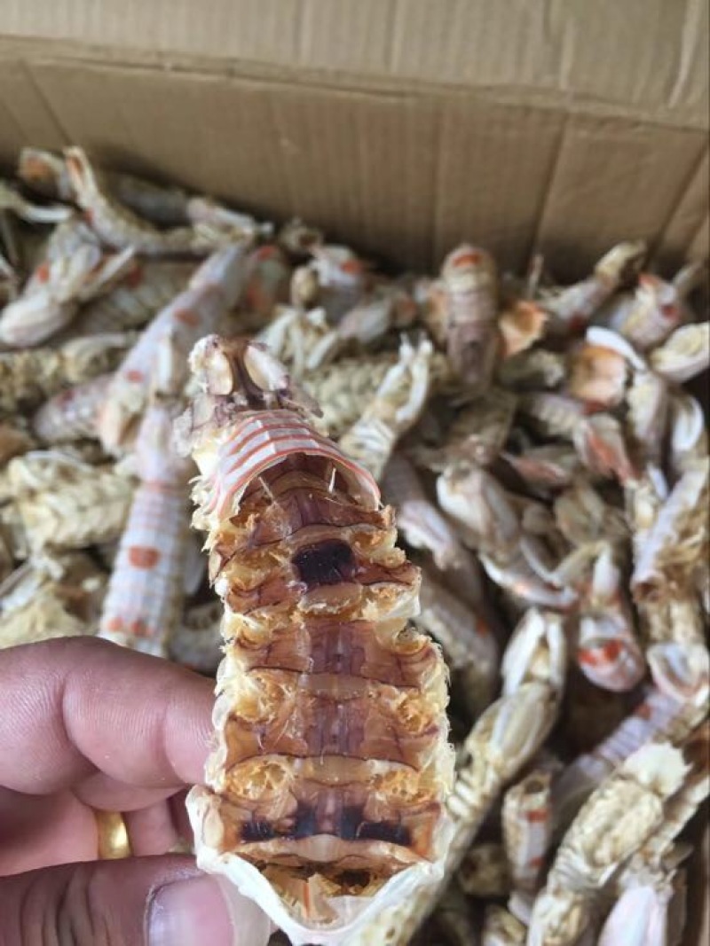 干虾皮皮虾干