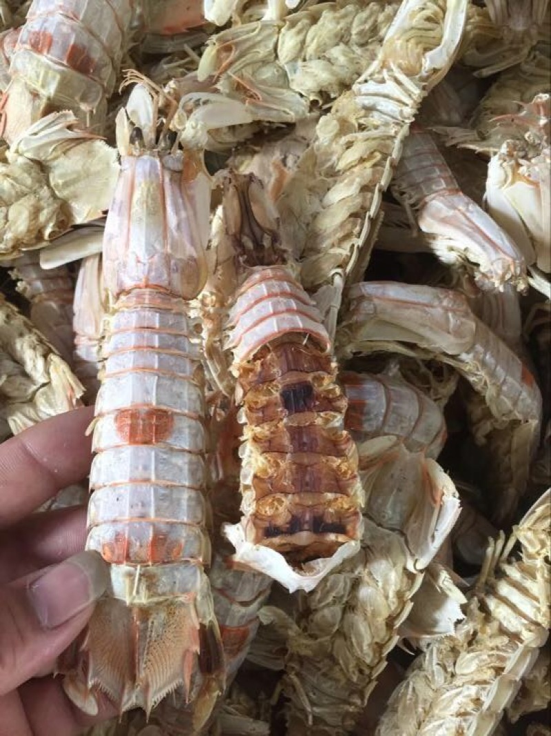 干虾皮皮虾干