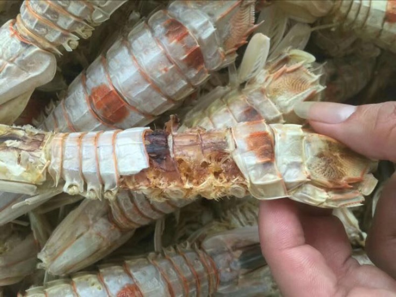 干虾皮皮虾干