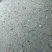金草鱼人工养殖活鱼1~2.5公斤