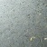 金草鱼人工养殖活鱼1~2.5公斤
