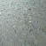 金草鱼人工养殖活鱼1~2.5公斤