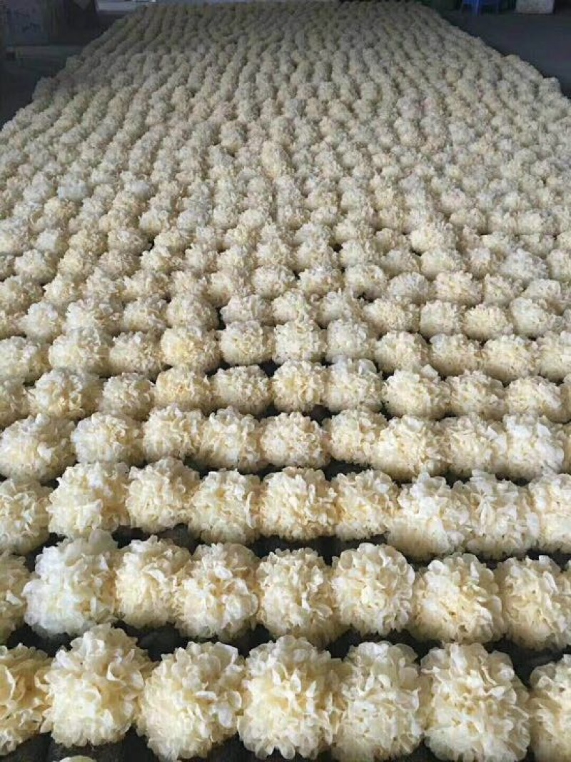 古田鲜银耳特级精选6朵盒装一手货源