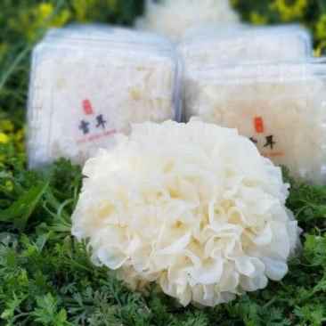 古田鲜银耳特级精选6朵盒装一手货源