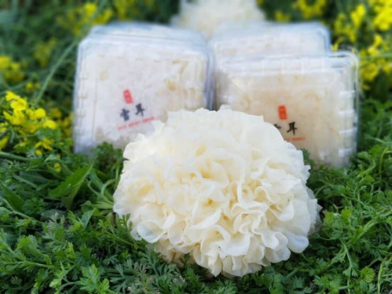 古田鲜银耳特级精选6朵盒装一手货源