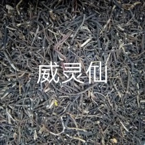 威灵仙