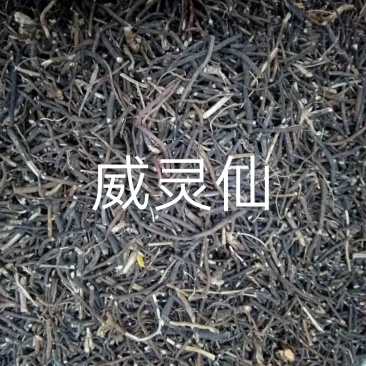 威灵仙