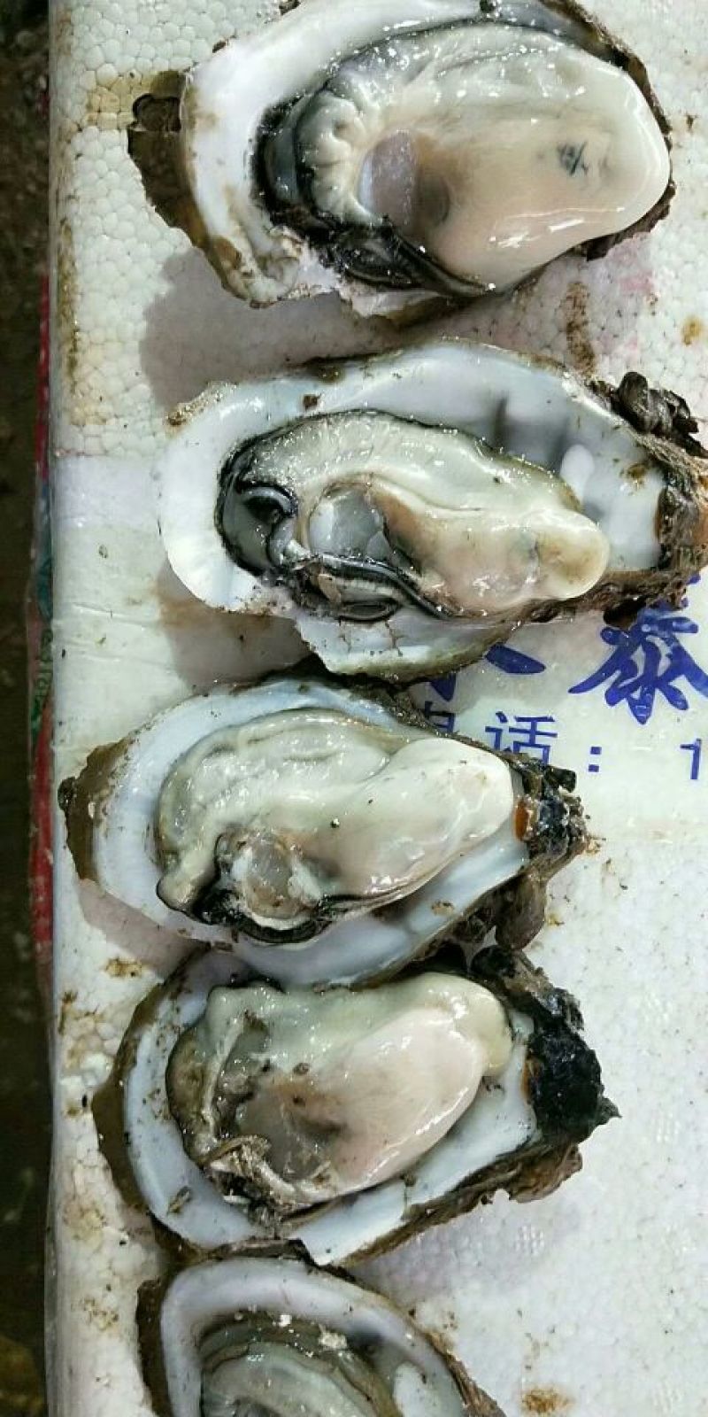 生蚝2只/斤