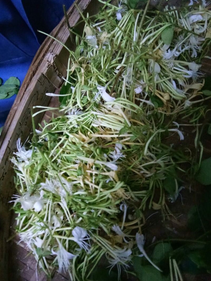 金银花统花
