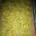 金银花统花