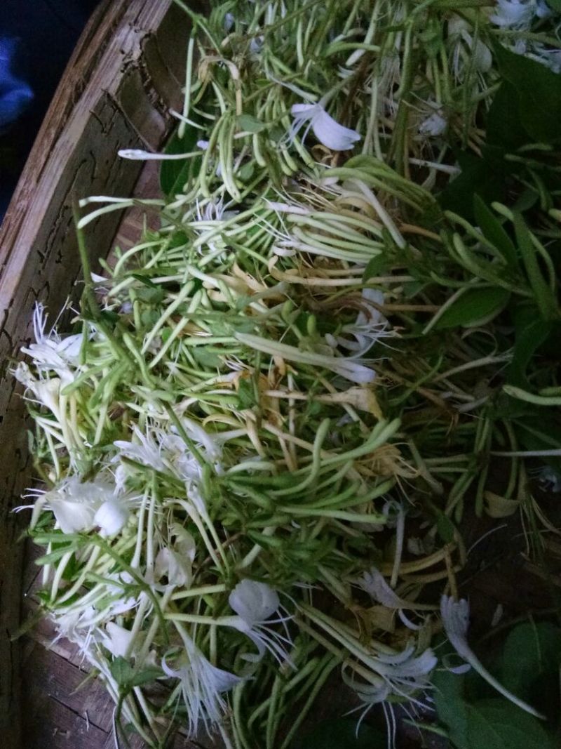 金银花统花