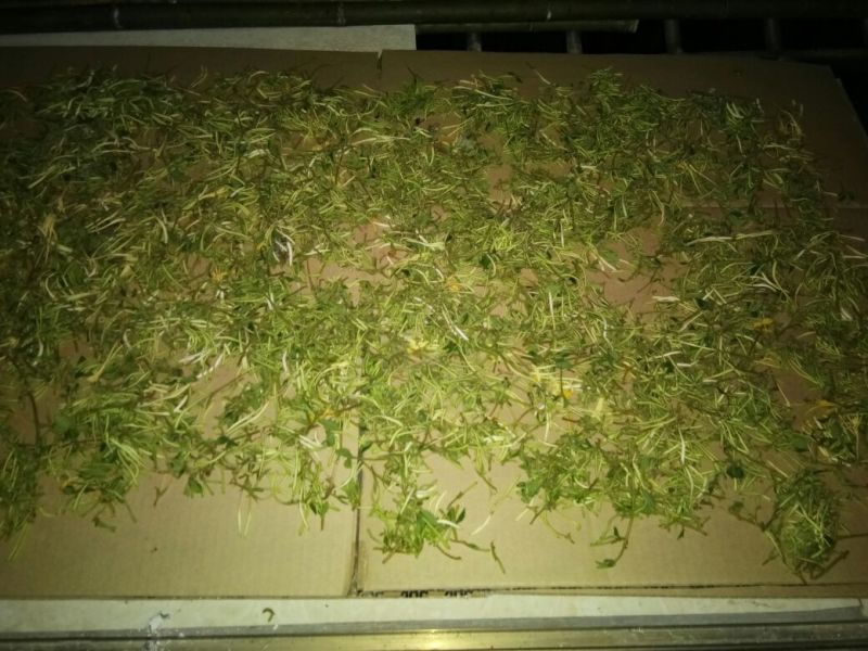 金银花统花