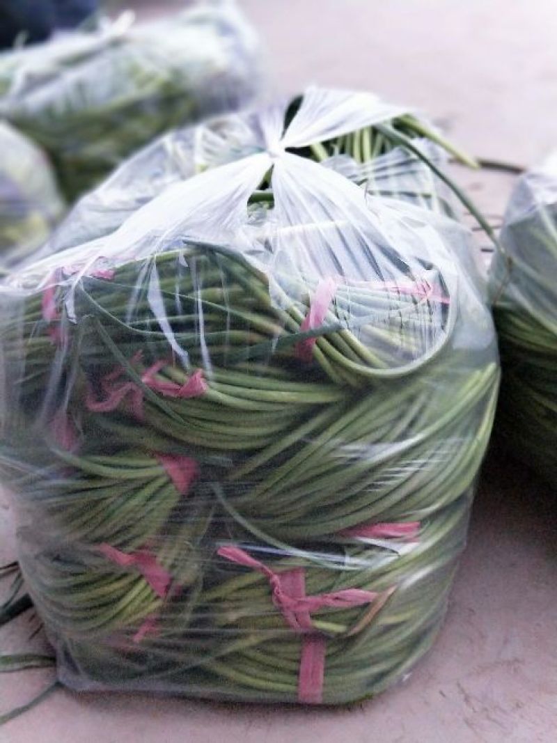 蒜薹精品60~70cm红帽蒜苔，走市场，存库