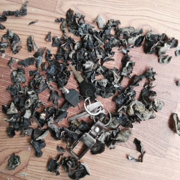 东北黑木耳细木耳炒菜木耳小片中小片中片