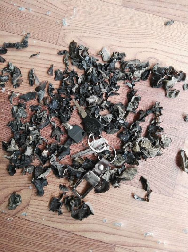 东北黑木耳细木耳炒菜木耳小片中小片中片
