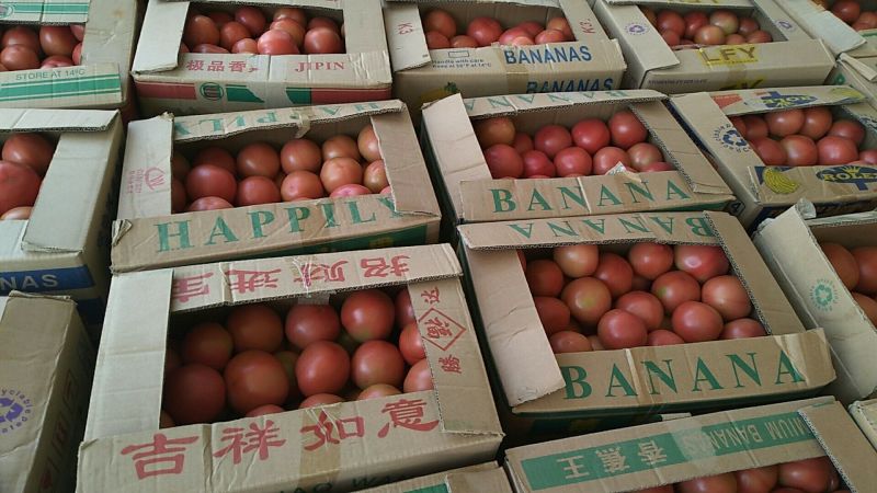 精品硬粉西红柿弧三以上