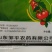 邹平农药吗胍乙酸铜番茄烟草棉花红薯洋葱小叶病毒病杀菌剂