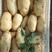 山东荷兰十五土豆大量出售4两起步大货产地冷库代发
