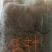 金耳菌种（椴木分离原种，二级种，栽培种）