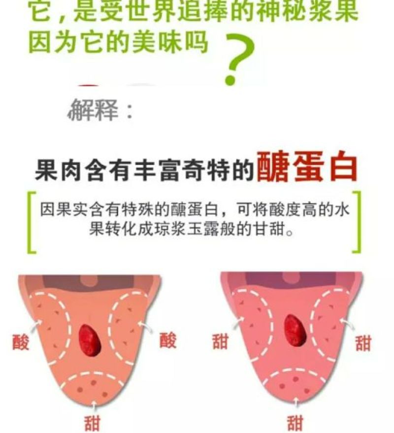 自家果园种的神秘果，长年有货