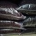 熟青仁黑豆现磨五谷杂粮熟成品原料