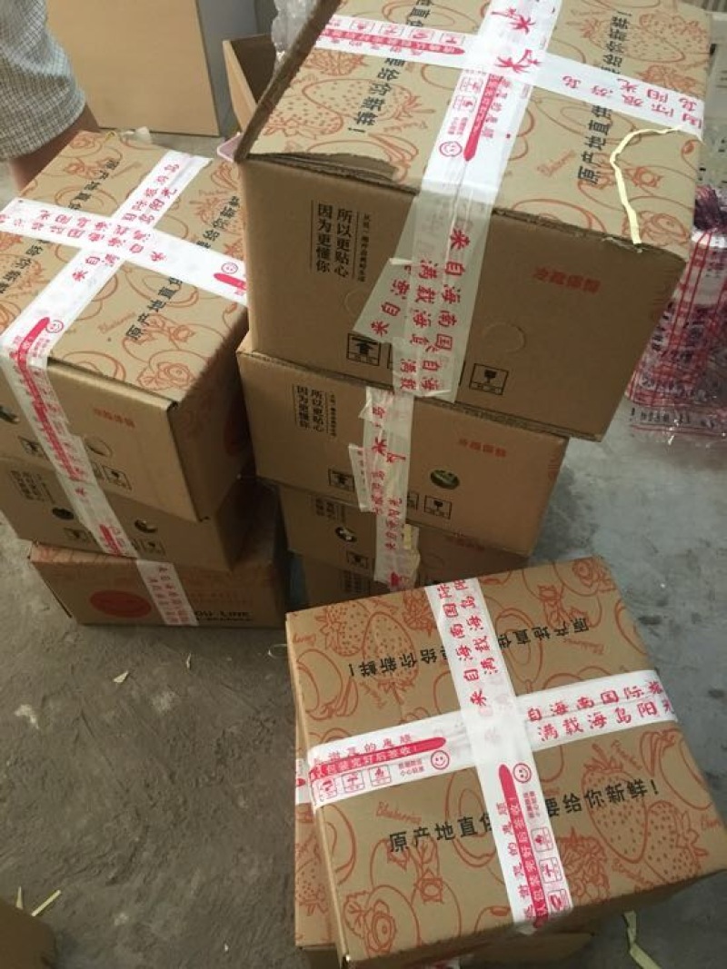 金钻十七号凤梨1.5~2斤