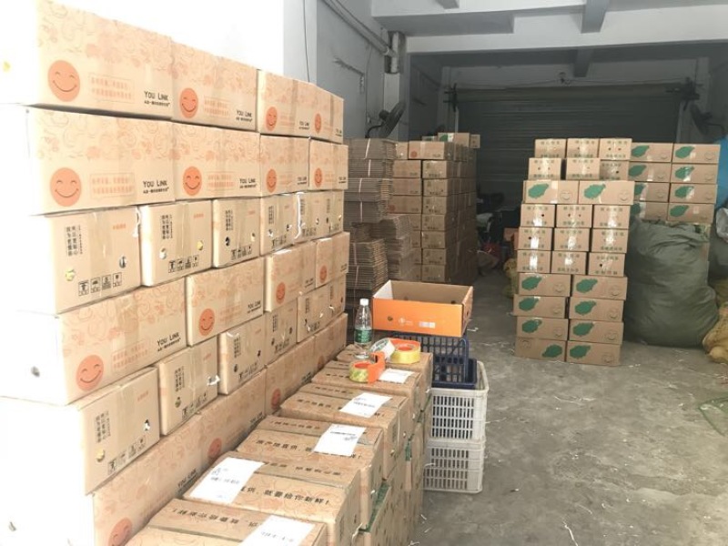 网纹瓜1斤以上椭圆形