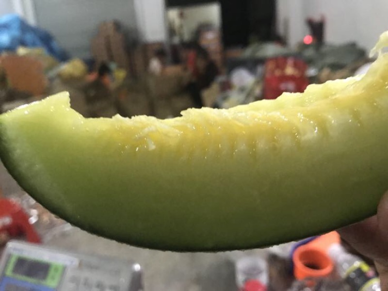 网纹瓜1斤以上椭圆形