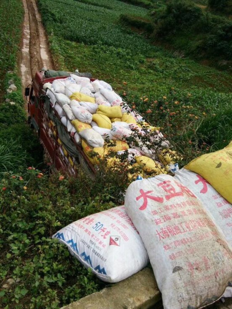 羊粪羊场直供高有机质种西瓜种柑桔种香蕉羊粪