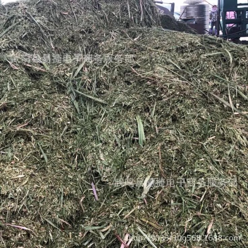 玉米秸秆发酵饲料