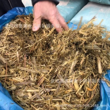 玉米秸秆发酵饲料