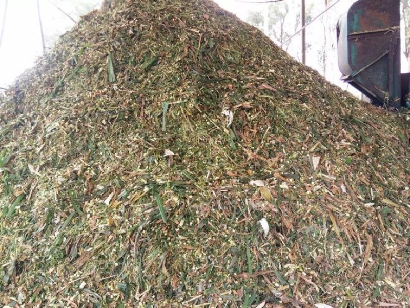玉米秸秆发酵饲料