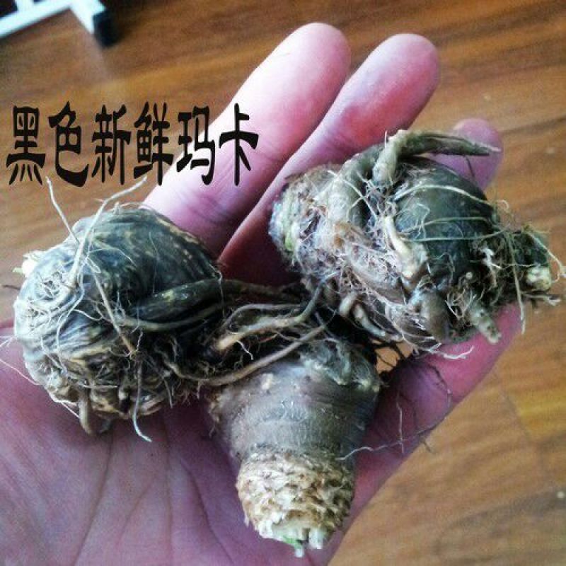 云南丽江黑玛卡20头精品大果种植黑玛咖选货