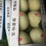 玉姑甜瓜3斤精品