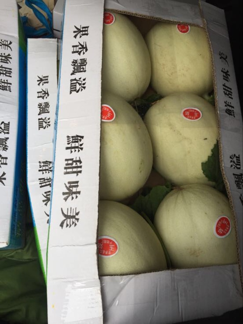 玉姑甜瓜3斤精品