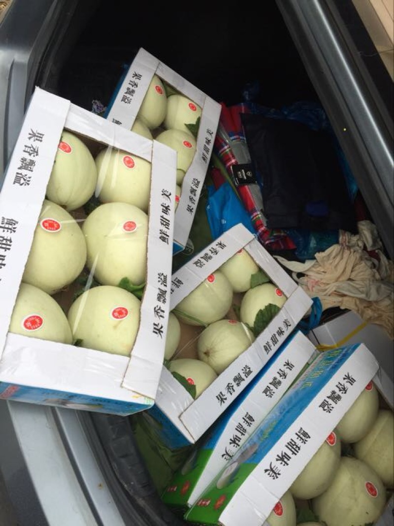 玉姑甜瓜3斤精品