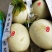 玉姑甜瓜3斤精品