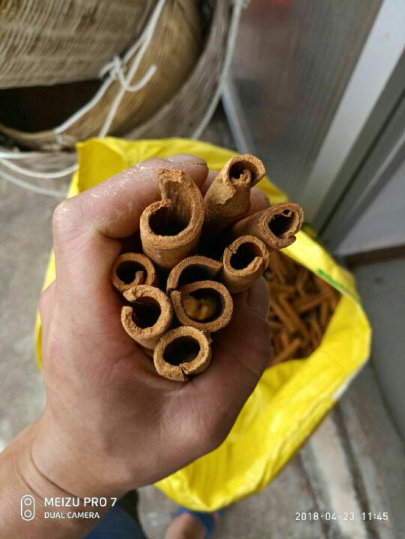 主打烟仔桂
