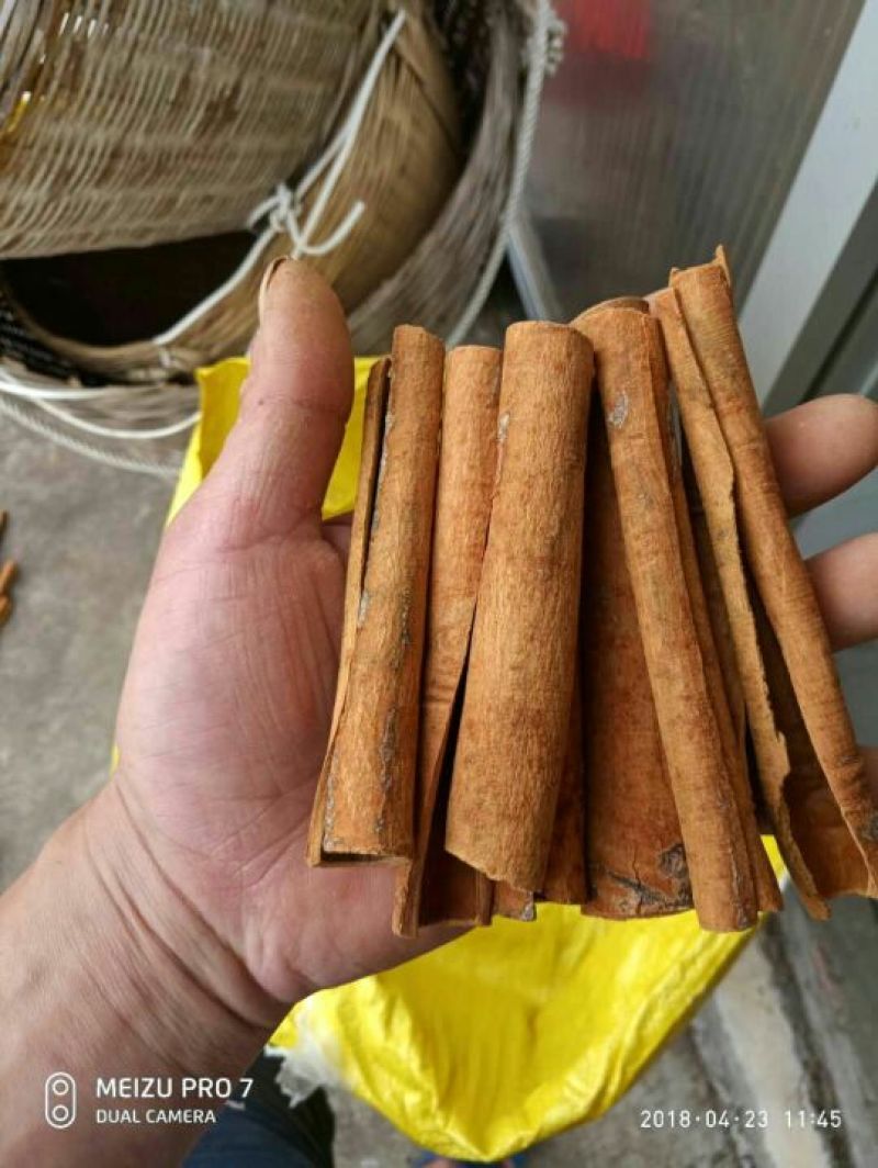 主打烟仔桂
