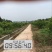 安岳尤力克柠檬1.6~2两