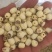 白莲子二级干莲子，厂家直销，保质保量，量大价优