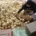 甜瓜新乐市甜瓜4月份大量上市欢迎新老客户前来选购随到随装